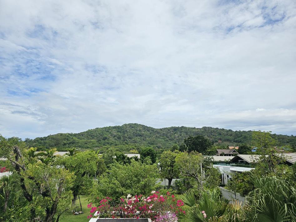 Top floor view